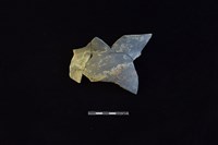 藏品(陶罐)的圖片